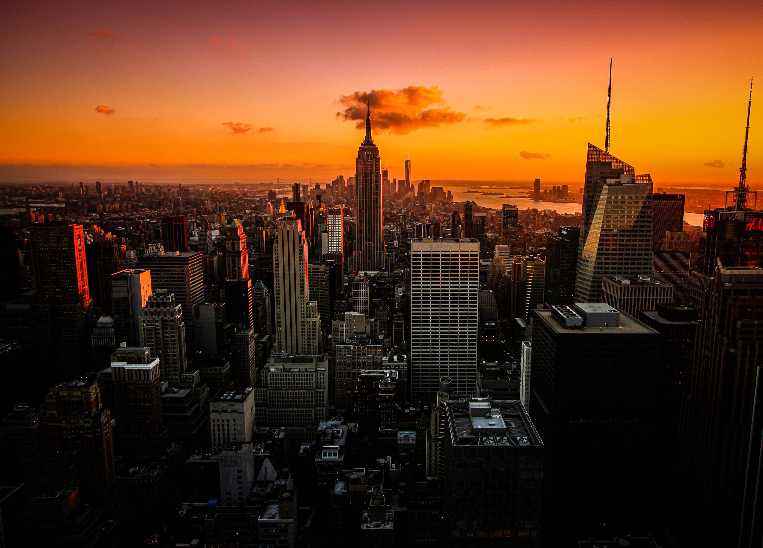 New York City Laws New York City Laws