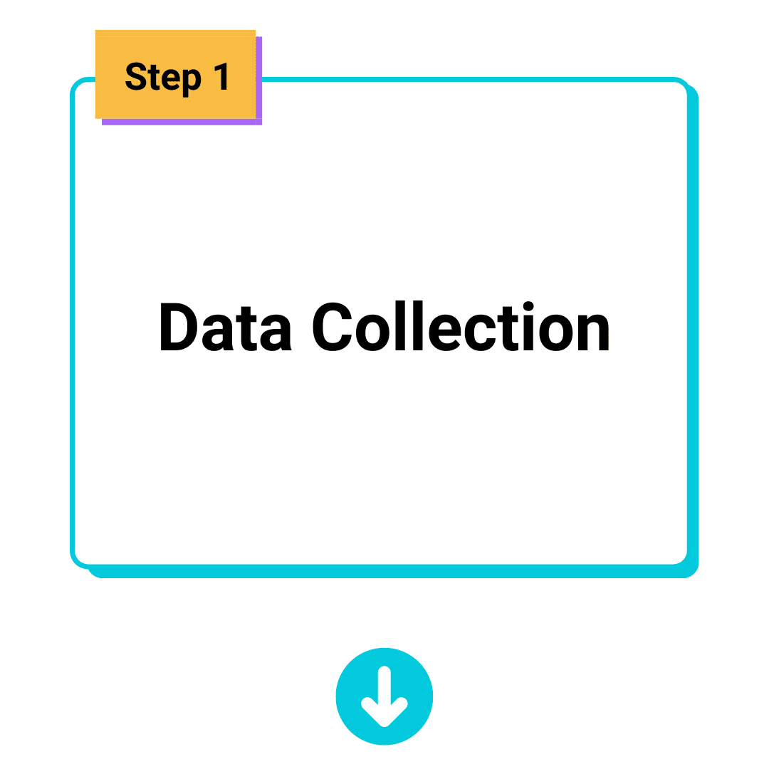 Data Collection Customer Segmentation