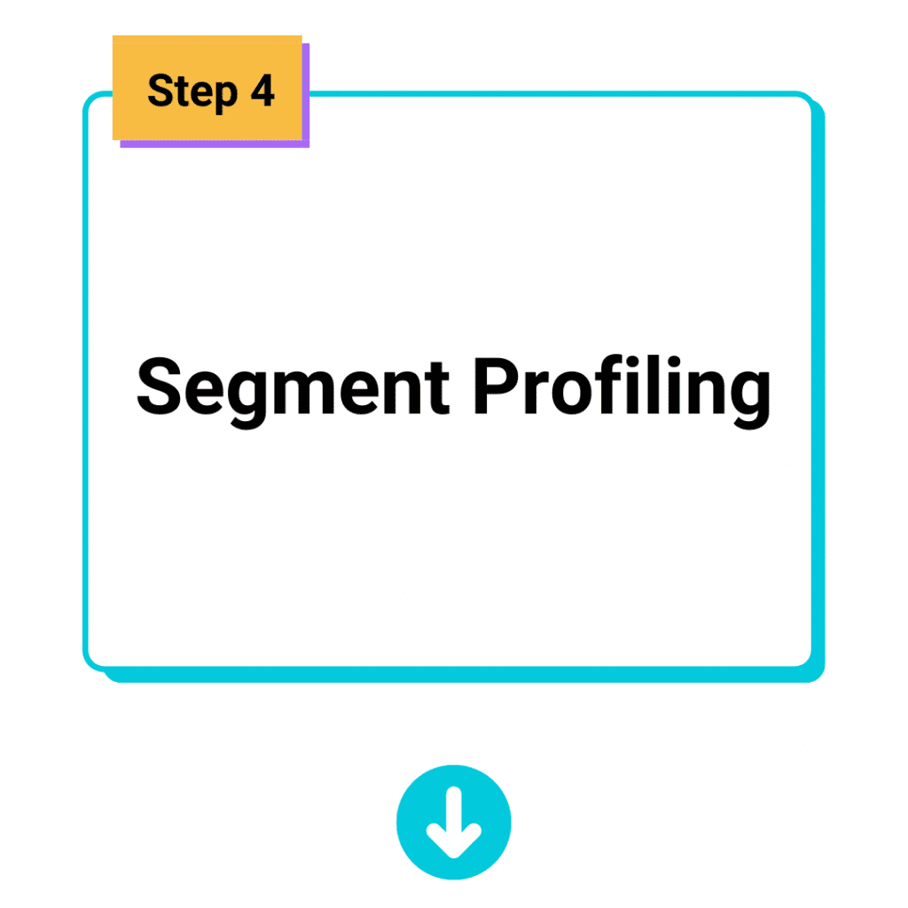 Segment Profiling